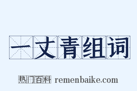 一丈青组词是什么意思的图片